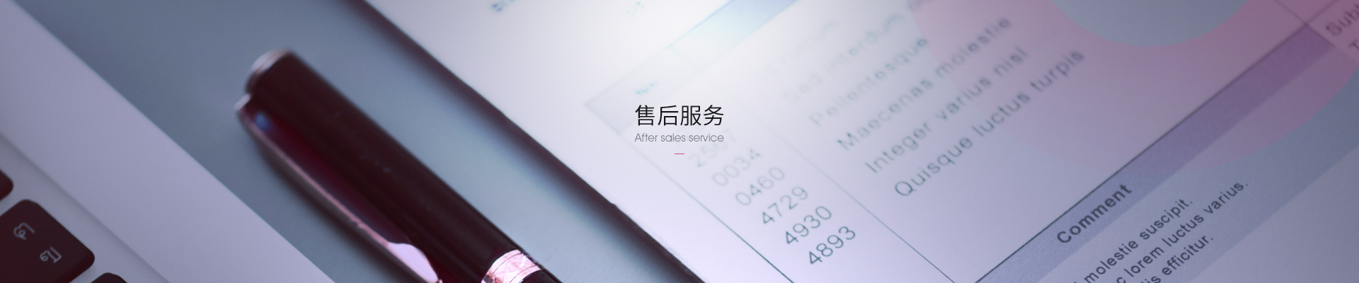 湖南bsport有限公司